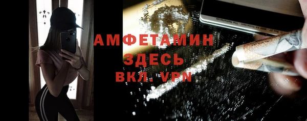 spice Богданович