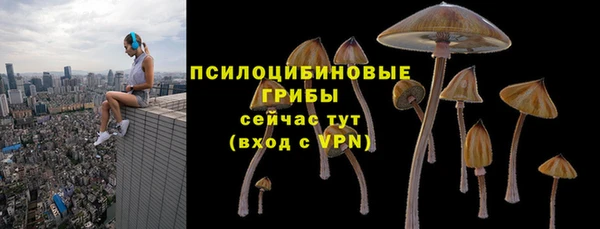 МДПВ Богородск