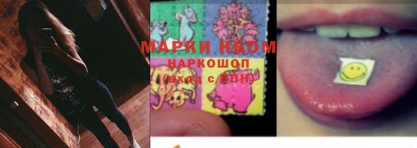 spice Богданович