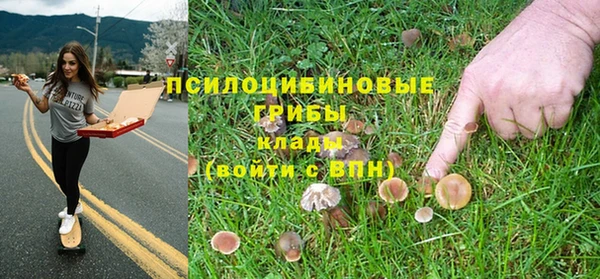 spice Богданович