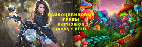 spice Богданович