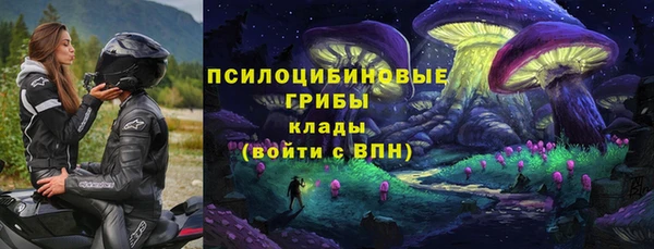 ПСИЛОЦИБИНОВЫЕ ГРИБЫ Богородицк
