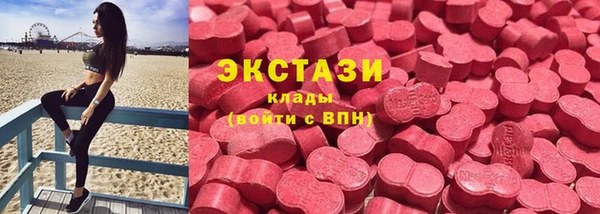spice Богданович