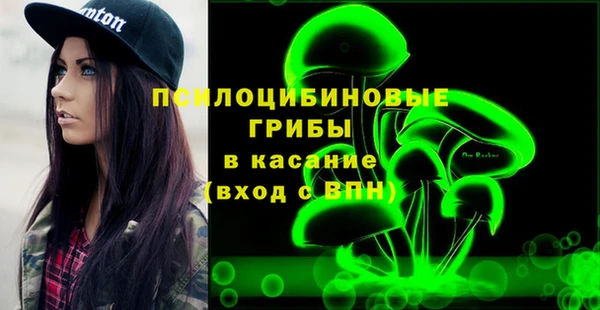 ПСИЛОЦИБИНОВЫЕ ГРИБЫ Богородицк