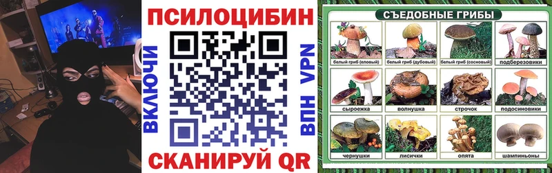 Псилоцибиновые грибы мицелий купить наркотики сайты Тотьма